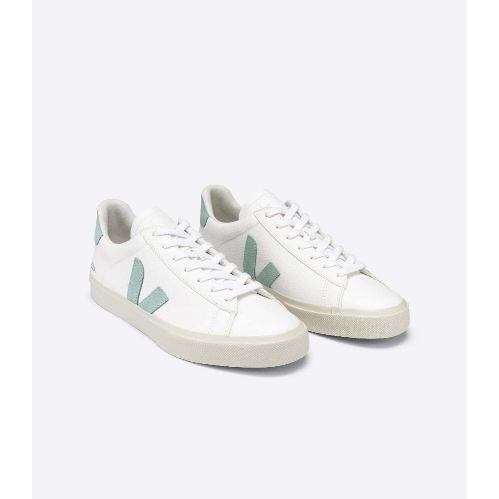 Men's Veja CAMPO CHROMEFREE Low Tops Sneakers White/Green | ZA 196NWY